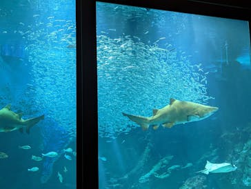 マリンワールド海の中道に投稿された画像（2022/10/8）