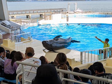 マリンワールド海の中道に投稿された画像（2022/10/8）