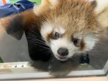 横浜・八景島シーパラダイスに投稿された画像（2022/10/10）