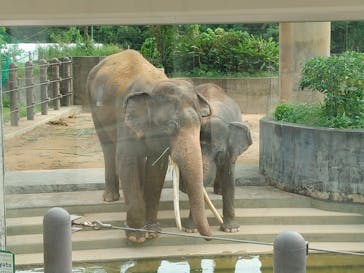 沖縄こどもの国に投稿された画像（2022/10/10）