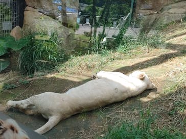 沖縄こどもの国に投稿された画像（2022/10/10）