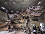 国立科学博物館に投稿された画像（2022/10/10）