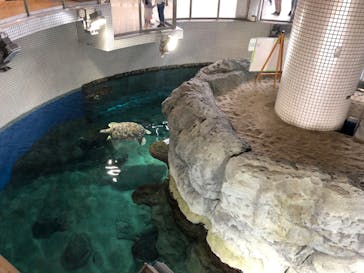 名古屋港水族館に投稿された画像（2022/10/10）