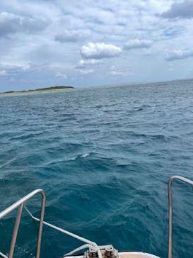 M.a.r.i.n.e Factoryに投稿された画像（2022/10/10）