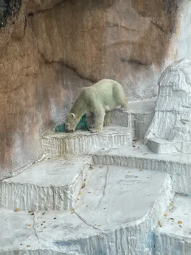 天王寺動物園に投稿された画像（2022/10/10）