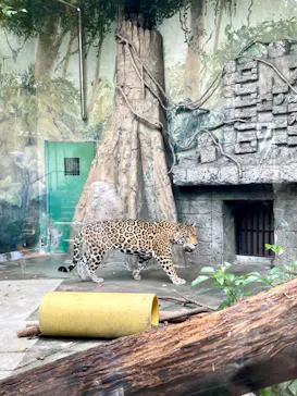 天王寺動物園に投稿された画像（2022/10/10）