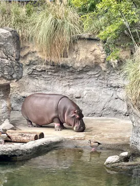 天王寺動物園に投稿された画像（2022/10/10）