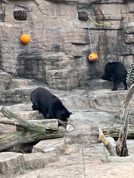 天王寺動物園に投稿された画像（2022/10/10）