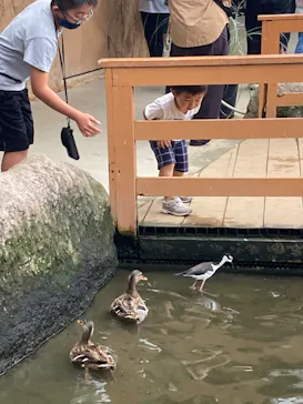 神戸どうぶつ王国に投稿された画像（2022/10/10）