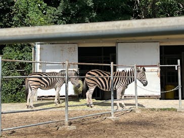 九十九島動植物園森きららに投稿された画像（2022/10/10）