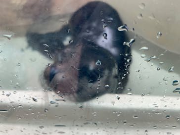 サンシャイン水族館に投稿された画像（2022/10/10）