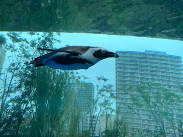 サンシャイン水族館に投稿された画像（2022/10/10）