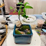 カルチャースクールいろはに投稿された画像（2022/10/10）