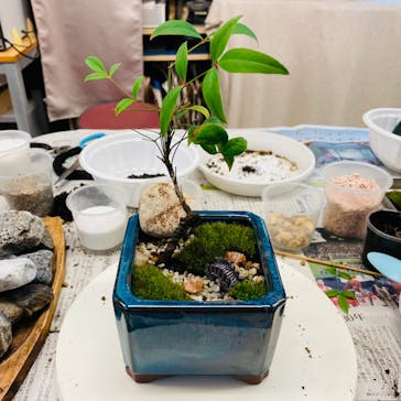 カルチャースクールいろはに投稿された画像（2022/10/10）