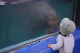 ゼロ距離水族館 伊勢シーパラダイスに投稿された画像（2022/10/10）