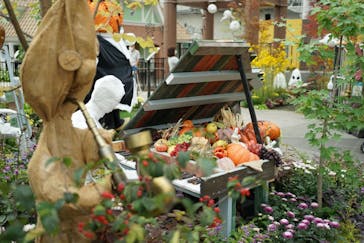 安城産業文化公園デンパークに投稿された画像（2022/10/10）