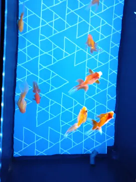 すみだ水族館に投稿された画像（2022/10/10）