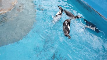 南知多ビーチランド＆南知多おもちゃ王国に投稿された画像（2022/10/10）