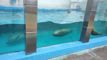 南知多ビーチランド＆南知多おもちゃ王国に投稿された画像（2022/10/10）