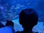京都水族館に投稿された画像（2022/10/10）