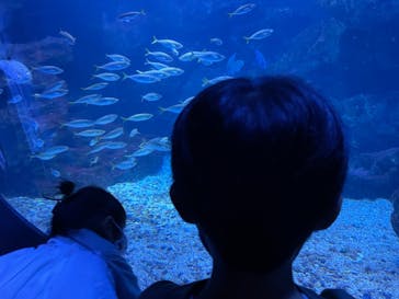 京都水族館に投稿された画像（2022/10/10）