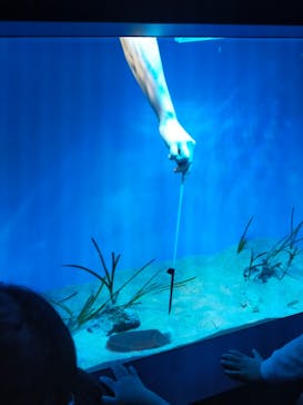 サンシャイン水族館に投稿された画像（2022/10/10）