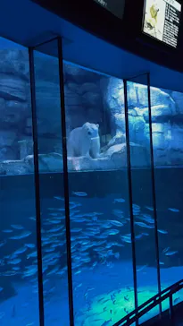 横浜・八景島シーパラダイスに投稿された画像（2022/10/10）