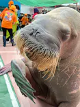 ゼロ距離水族館 伊勢シーパラダイスに投稿された画像（2022/10/10）