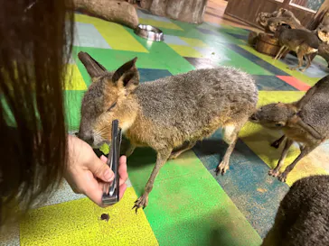 ひらかたパークに投稿された画像（2022/10/10）