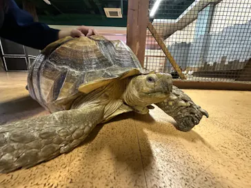 ひらかたパークに投稿された画像（2022/10/10）