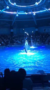マクセル アクアパーク品川に投稿された画像（2022/10/10）