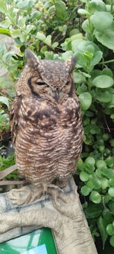 伊豆シャボテン動物公園に投稿された画像（2022/10/10）