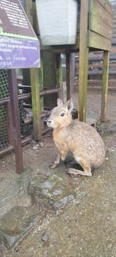 伊豆シャボテン動物公園に投稿された画像（2022/10/10）