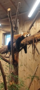 伊豆シャボテン動物公園に投稿された画像（2022/10/10）