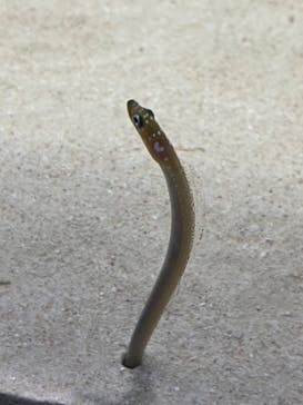 アクアワールド茨城県大洗水族館に投稿された画像（2022/10/10）