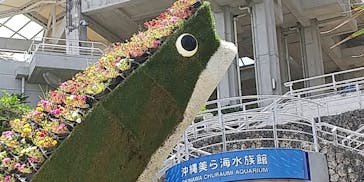 沖縄美ら海水族館に投稿された画像（2022/10/10）