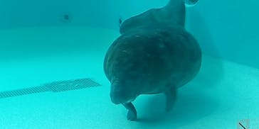 沖縄美ら海水族館に投稿された画像（2022/10/10）