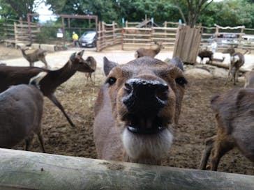 群馬サファリパークに投稿された画像（2022/10/10）