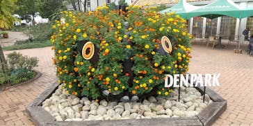 安城産業文化公園デンパークに投稿された画像（2022/10/8）