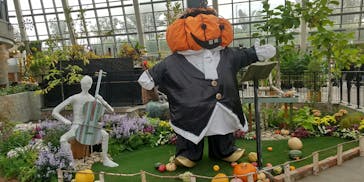 安城産業文化公園デンパークに投稿された画像（2022/10/8）