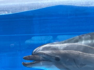名古屋港水族館に投稿された画像（2022/10/10）