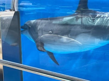 名古屋港水族館に投稿された画像（2022/10/10）