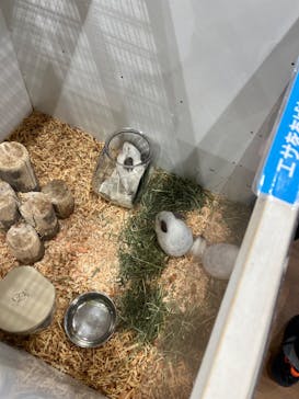 アニタッチみなとみらいに投稿された画像（2022/10/10）