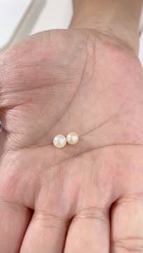 三重県真珠に投稿された画像（2022/10/10）