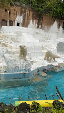 天王寺動物園に投稿された画像（2022/10/10）