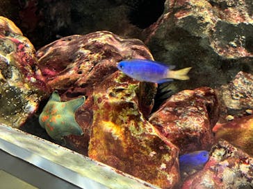 名古屋港水族館に投稿された画像（2022/10/10）