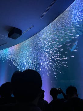 名古屋港水族館に投稿された画像（2022/10/10）