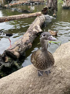 神戸どうぶつ王国に投稿された画像（2022/10/10）