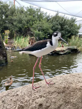 神戸どうぶつ王国に投稿された画像（2022/10/10）