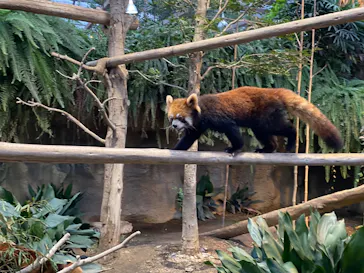 神戸どうぶつ王国に投稿された画像（2022/10/10）